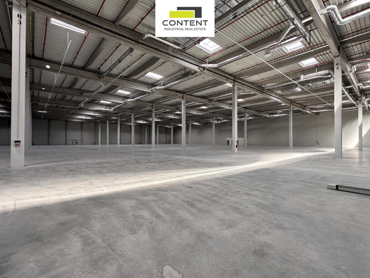 Pronájem novostavby skladu, výrobních prostor 19.825 m², Pohořelice