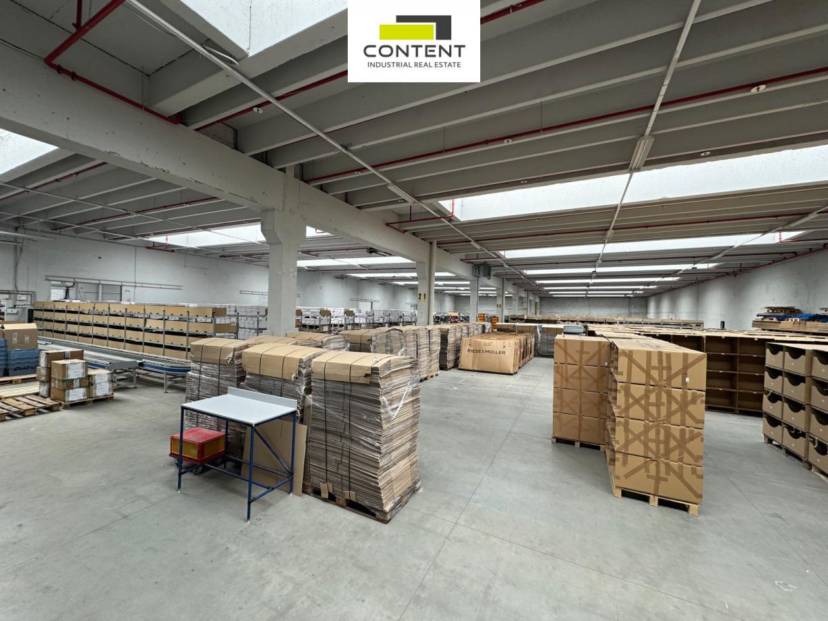 Pronájem skladu, výrobních prostor 11.000 m², Říčany u Prahy