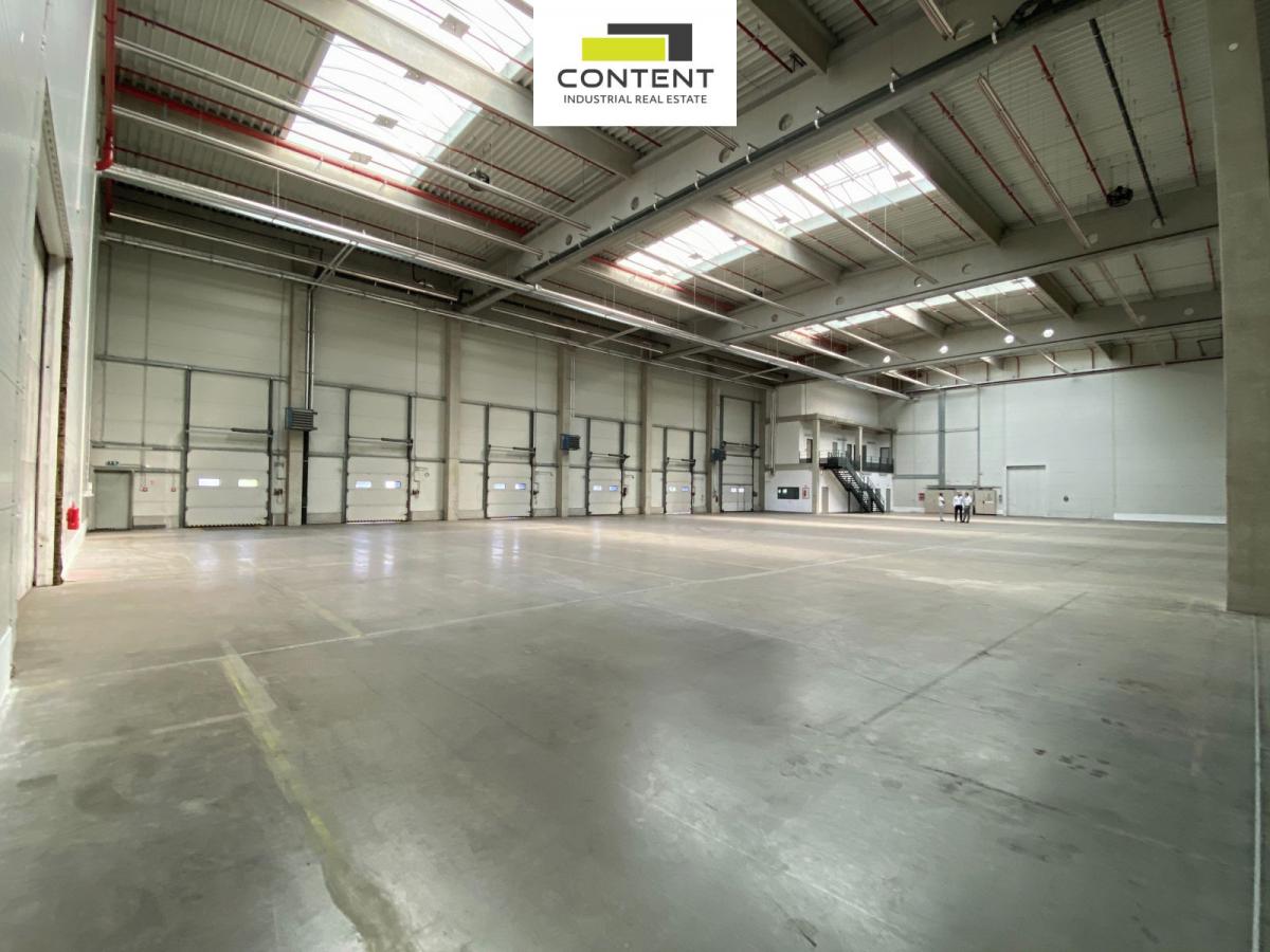 Pronájem skladu, výrobních prostor 19.834 m², Louny, D7