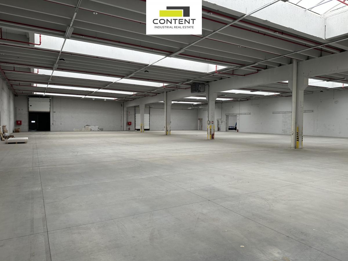 Pronájem skladu, výrobních prostor 11.000 m², Říčany u Prahy
