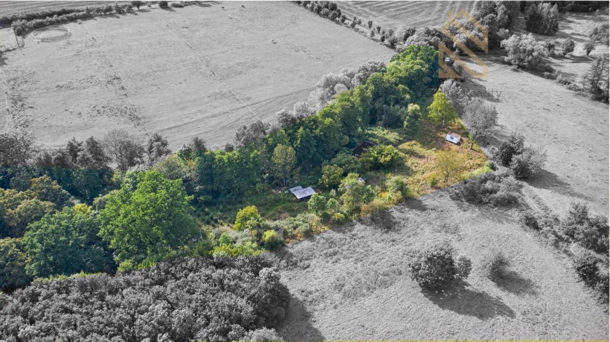 DJI_0730_hdr (1).jpg