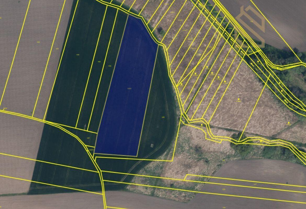 Snímek obrazovky 2026-01-27 092940 (1).jpg