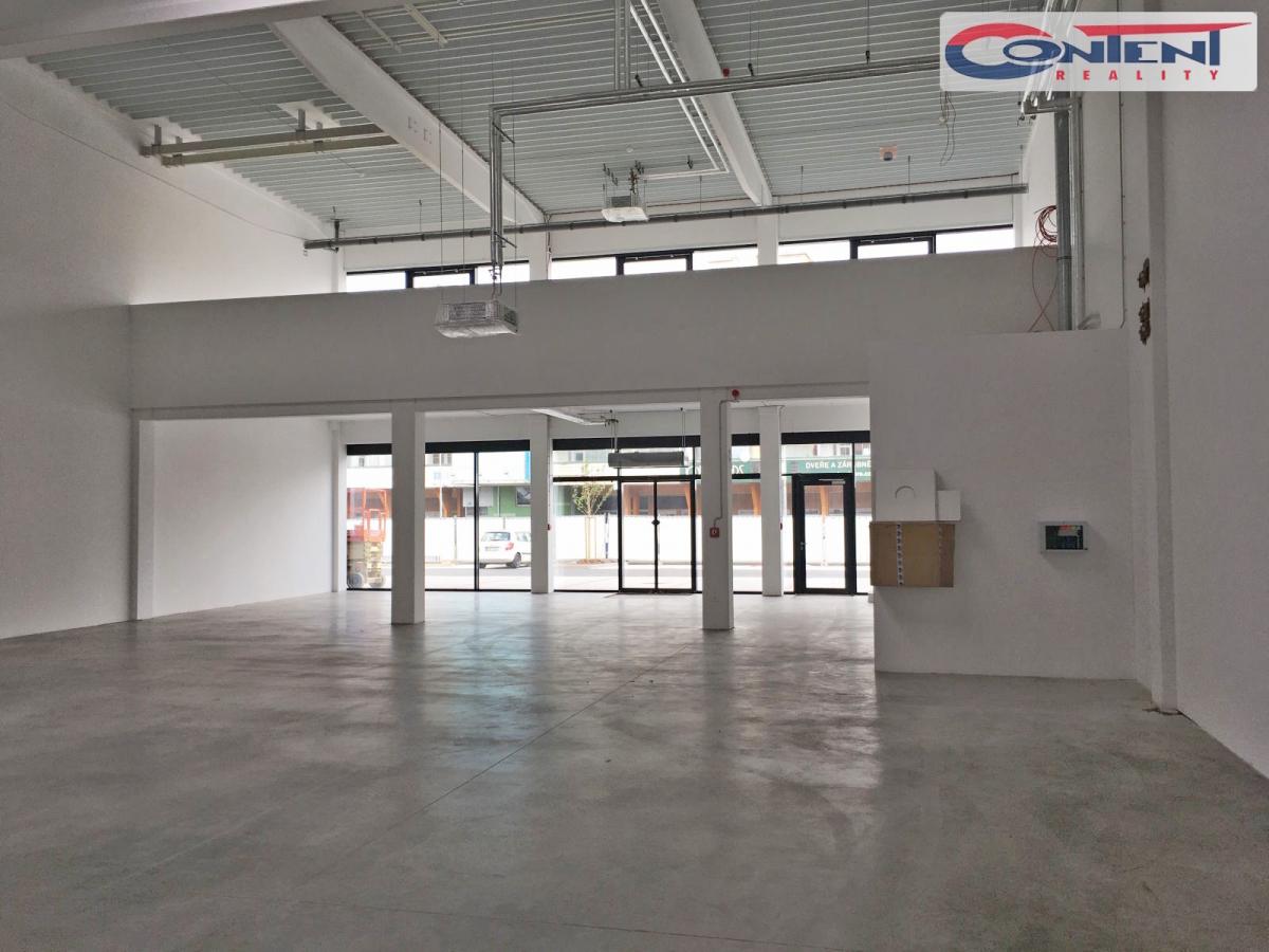 Pronájem skladu nebo výrobních prostor 700 m², Mladá Boleslav