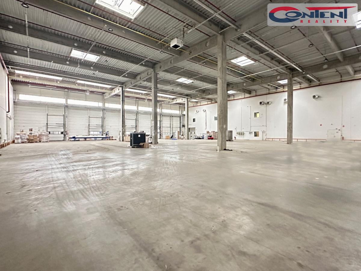 Pronájem skladu, výrobních prostor 4.688 m², Jažlovice, D1
