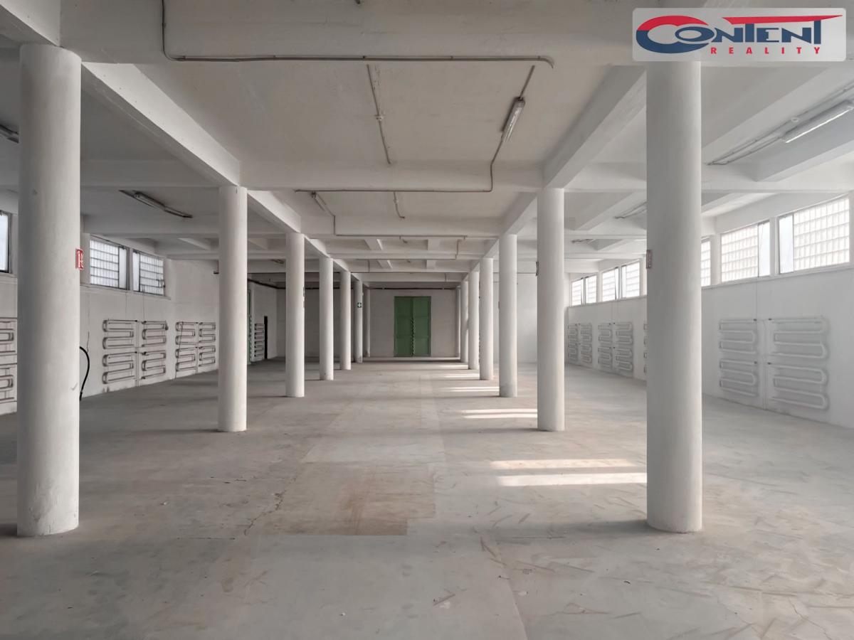 Pronájem skladu, výrobních prostor 750 m², Přerov