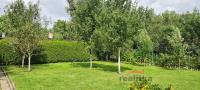 Prodej zahrady s chatou v osobním vlastnictví, 623m2, Opava, Kylešovice - 20210817_131614.jpg