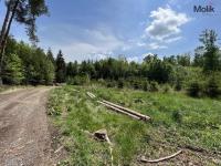 Prodej lesa, OV, 1 948 m2, Kadov - Pole, okres Strakonice - Foto 2
