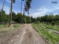 Prodej lesa, OV, 1 948 m2, Kadov - Pole, okres Strakonice - Foto 5
