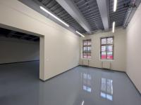 Pronájem komerčních prostor, Dresdner Thor 20 - 200 m2, Teplice, ul. U Divadla - Foto 6