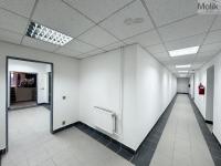 Pronájem skladovacích prostor a prostorné garáže (128 m2) v Dresdner Thor, Teplice, ul. U Divadla - Foto 5