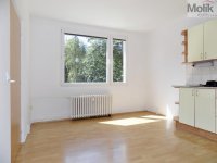 Pronájem bytu 2+kk, 33,50 m2, Ústí nad Labem, Maková ul. - Foto 3