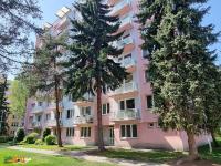 Podnájem prostorného bytu 2+1 s balkonem, České Budějovice, Puklicova - 20240411_125935.jpg