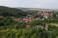 Prodej domu, Stradonice u Pátku, obec Peruc - Foto 25