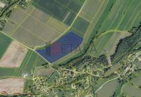 Prodej stavebního pozemku v obci Petrov nad Desnou - 69251115-01b6-48c4-9b34-cccf4c391ec0.jpg