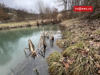 Soubor pozemků 7.474m2 Prlov, včetně menšího rybníku