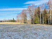 Prodej pozemku na krásném místě o výměře 2257 m2 s rybníčkem, katastr Ostrov u Březové - Fotka 2