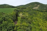 Prodej stavebního pozemku určeného pro výstavbu domu na samotě - Srbska u Karlštejna - Foto