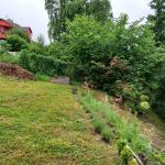 Prodej bytu 3+1 s vlastní zahradou za domem nedaleko centra Jablonce nad Nisou - 20210622_172900.jpg