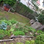 Prodej bytu 3+1 s vlastní zahradou za domem nedaleko centra Jablonce nad Nisou - 20210622_172913.jpg