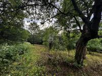 Prodej pozemek pro výstavbu Bezděkov Trail Trutnov - Fotka 10