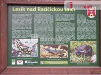 Prodej pozemku určeného k výstavbě RD Liberec -Ruprechtice - 12