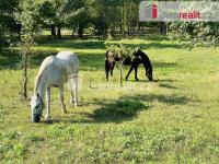 Pronájem - zahrada 1350 m2 k rekreaci , Mlékojedy - Neratovice - 4