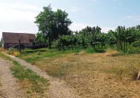 Pozemek k výstavbě vinného sklepa s nástavbou a plně plodící vinicí v Drnholci - IMG_20230719_102913.jpg