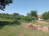 Pozemek k výstavbě vinného sklepa s nástavbou a plně plodící vinicí v Drnholci - IMG_20230719_102914.jpg