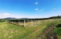 Soubor vinic v atraktivních lokalitách, kde vznikají nejlepší vína na Jižní Moravě. - IMG_20230810_152010 - kopie.jpg