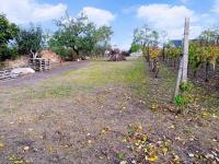 Zemní sklep se zahradou a vinicí v obci Jevišovka - IMG_20231108_113230.jpg