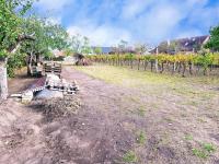 Zemní sklep se zahradou a vinicí v obci Jevišovka - IMG_20231108_113419.jpg