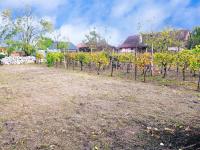 Zemní sklep se zahradou a vinicí v obci Jevišovka - IMG_20231108_113440.jpg