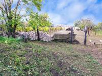 Zemní sklep se zahradou a vinicí v obci Jevišovka - IMG_20231108_125023.jpg