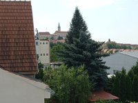 Prostorná vila se dvěma byty, garáží a krásnou zahradou v Mikulově. - IMG_20240815_110423.jpg