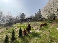 Prodej chaty se zahradou Brno – Jundrov - in 2.jpg