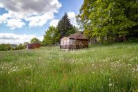 Prodej stavebního pozemku s dřevěnou chatou, 2 829 m2, Chocenice (Plzeň-jih), zlevněno - Foto 6