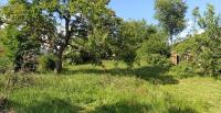Prodej dvou pozemků v obci Šanov okr. Znojmo - 8D1E67FE-91EC-4EAE-A704-A3BF410AA631.jpeg
