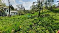 Prodej pozemku, 1714 m2, v obci Kosov - 20220505_102707.jpg