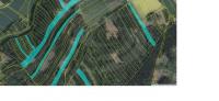 Prodej lesních pozemků o výměře 98.528m2, k.ú. Moraveč, obec Moraveč, okres Pelhřimov. - f3.jpg