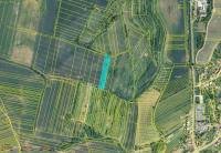 Prodej podílu 1/2 pozemků o výměře cca 2393m2, k.ú. Skalka u Kyjova, obec Skalka, okres Hodonín. - f1.jpg