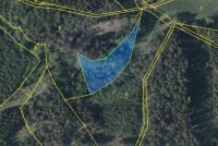 Prodej lesního pozemku o výměře 2138m2, k.ú. Havlovice, obec Havlovice, okres Trutnov