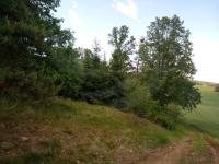 Prodej lesních pozemků o výměře 14.868m2, k.ú Sudkovice, obec Miloňovice, okres Strakonice - f3.jpg