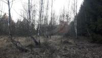 Prodej lesního pozemku o výměře 12.513m2, k.ú. Slapsko, obec Slapsko, okres Tábor. - f2.jpg