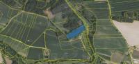 Prodej lesního pozemku o výměře 12.513m2, k.ú. Slapsko, obec Slapsko, okres Tábor. - f6.jpg