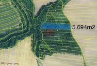 Prodej souboru lesních pozemků o celkové výměře 10.406m2 - IMG_5189.jpg