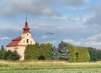 Prodej pozemku ke stavbě rodinného domu s výměrou 3086 m2 v obci Podmoky u Golčova Jeníkova. - IMG_3964.jpg