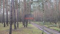 Prodej lesních pozemků v kat. území Chrašťovice u Mladotic - IMG20231221092710