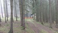 Prodej lesních pozemků u Hluboké na Plzeňsku - IMG20240216103230.jpg