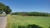 Prodej pole 49 500 m2, osázené rychle rostoucí dřevinou - Borkovice okr. Tábor - 7PB.jpg