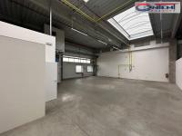 Pronájem skladu/výrobních prostor 5.346 m², Jažlovice, D1 - Foto 8